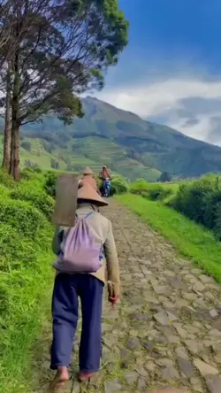 Sawah Pedesaan
