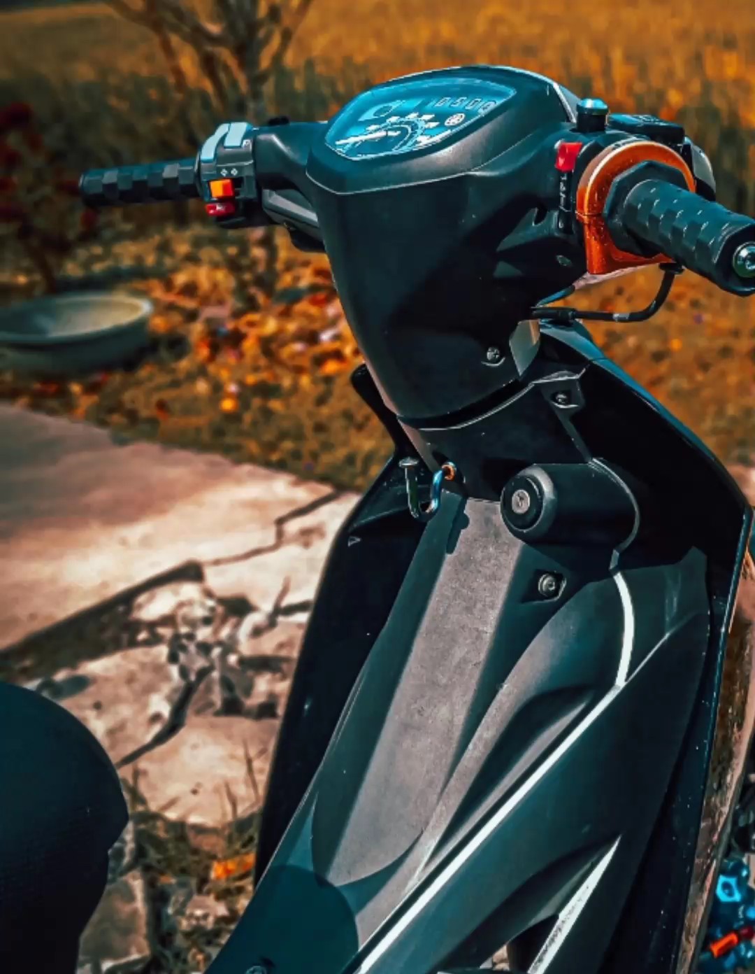 Cover Picture