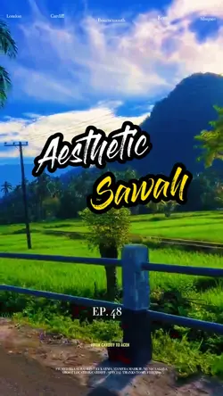 Aesthetic Sawah