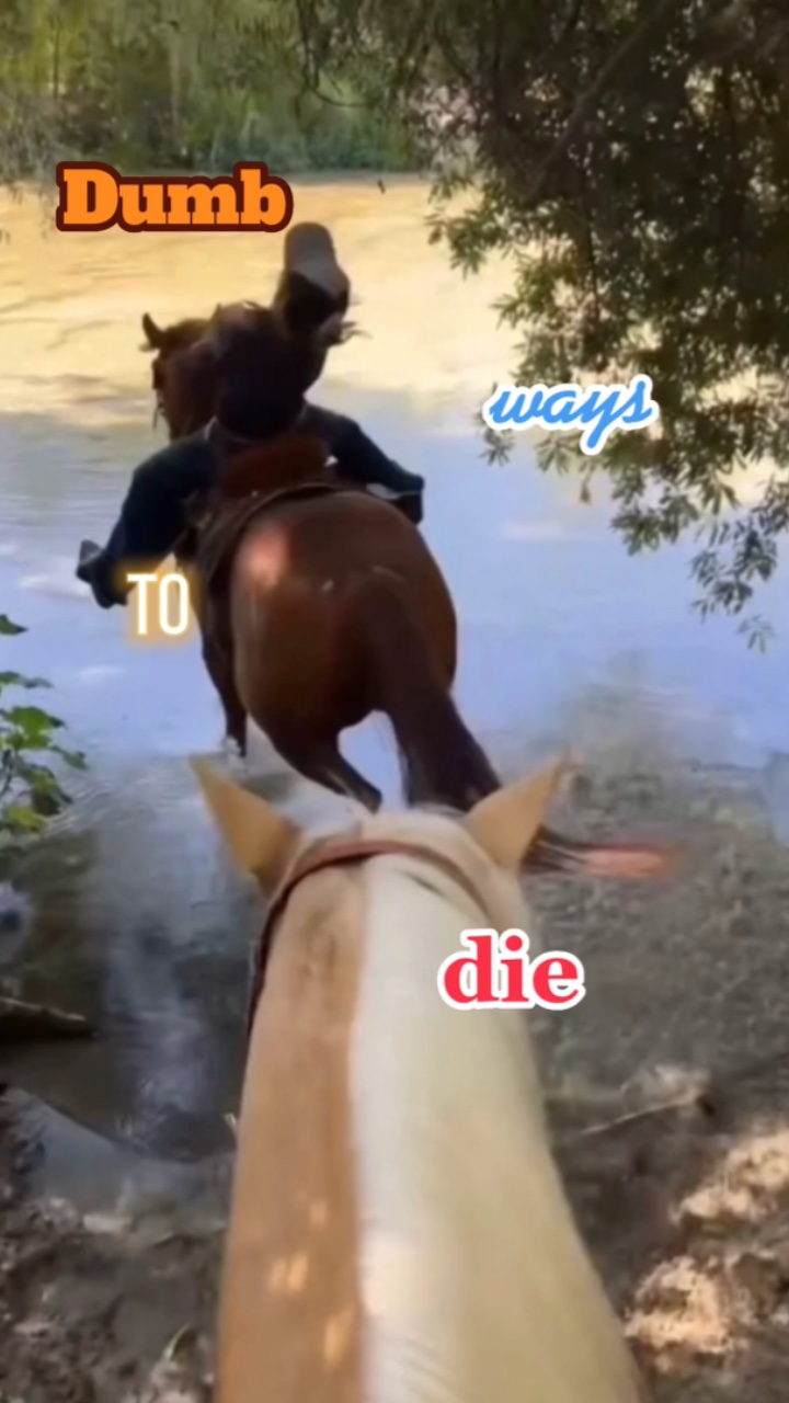 dumb ways to die