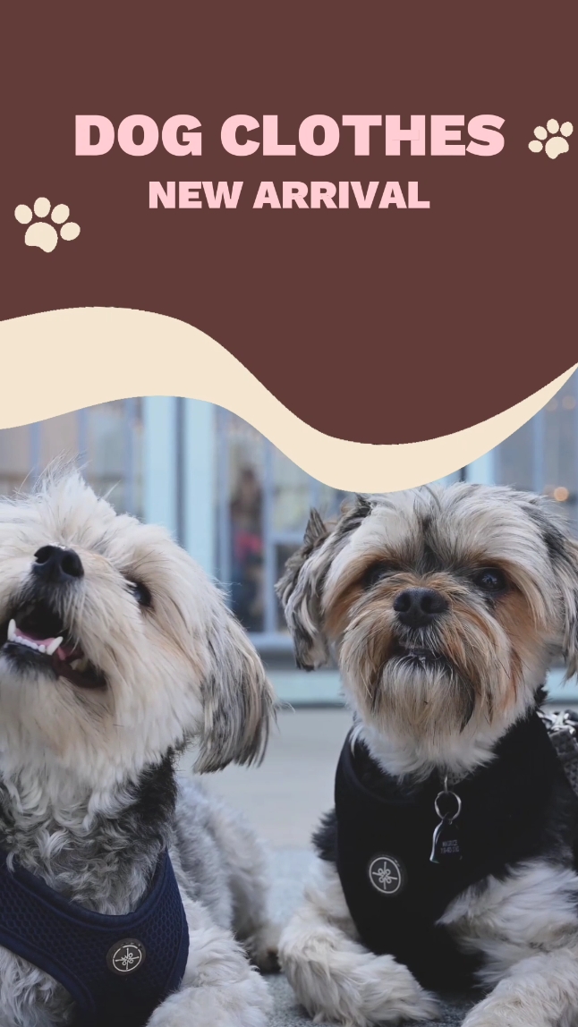 Pet Clothes Promo