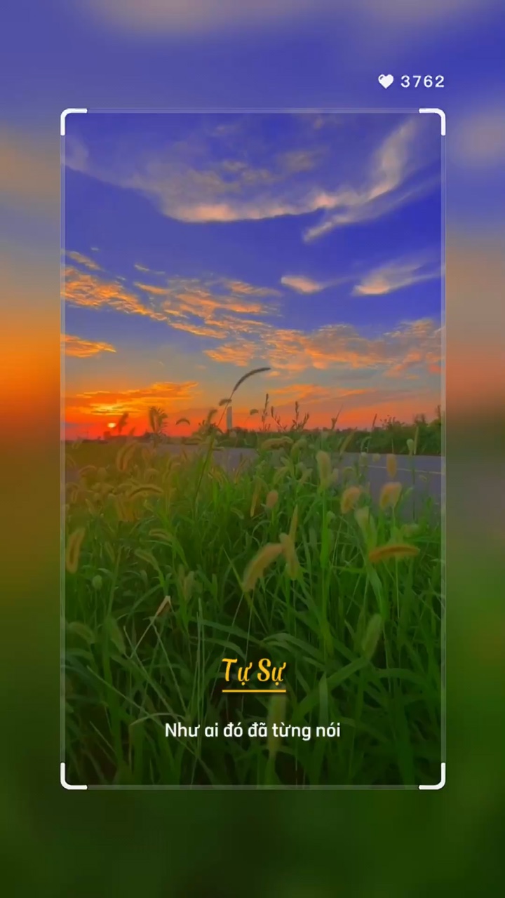 Tự Sự🌼