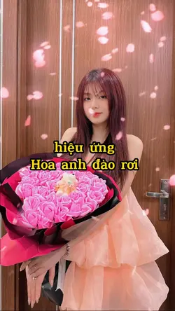Hoa anh đào rơi