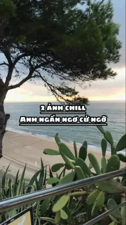 2 ảnh chill