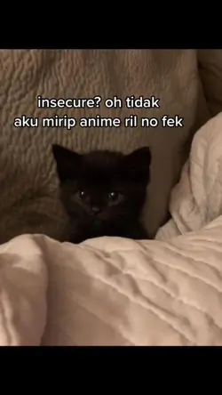 Insecure