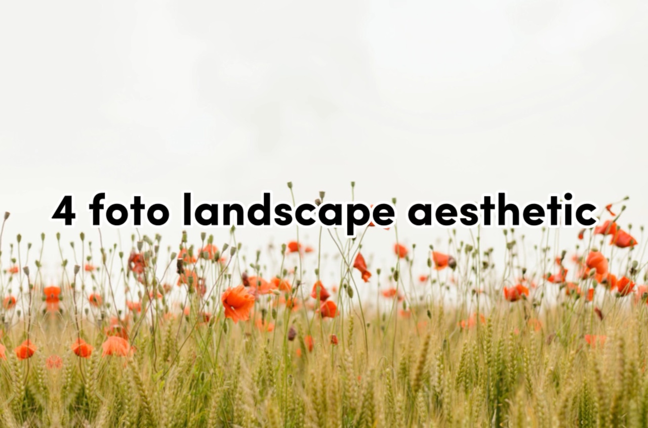 4 foto aesthetic