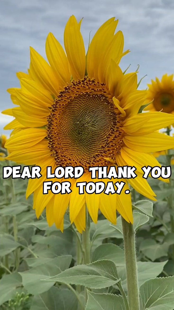 Deus é bom