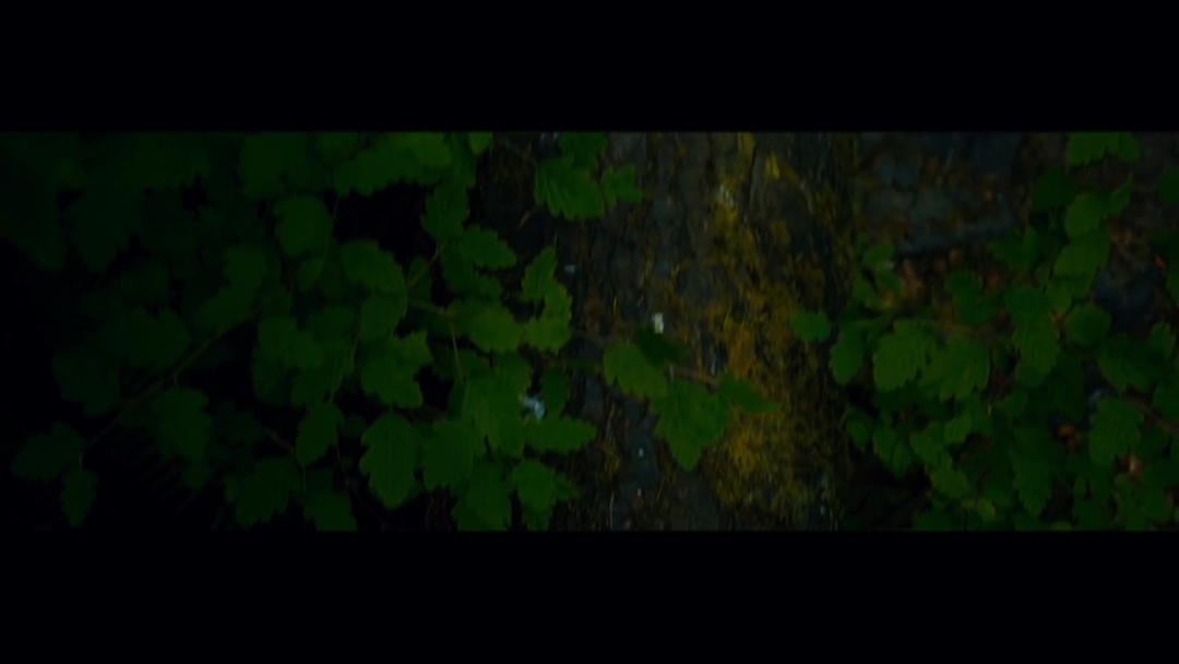 Horror intro
