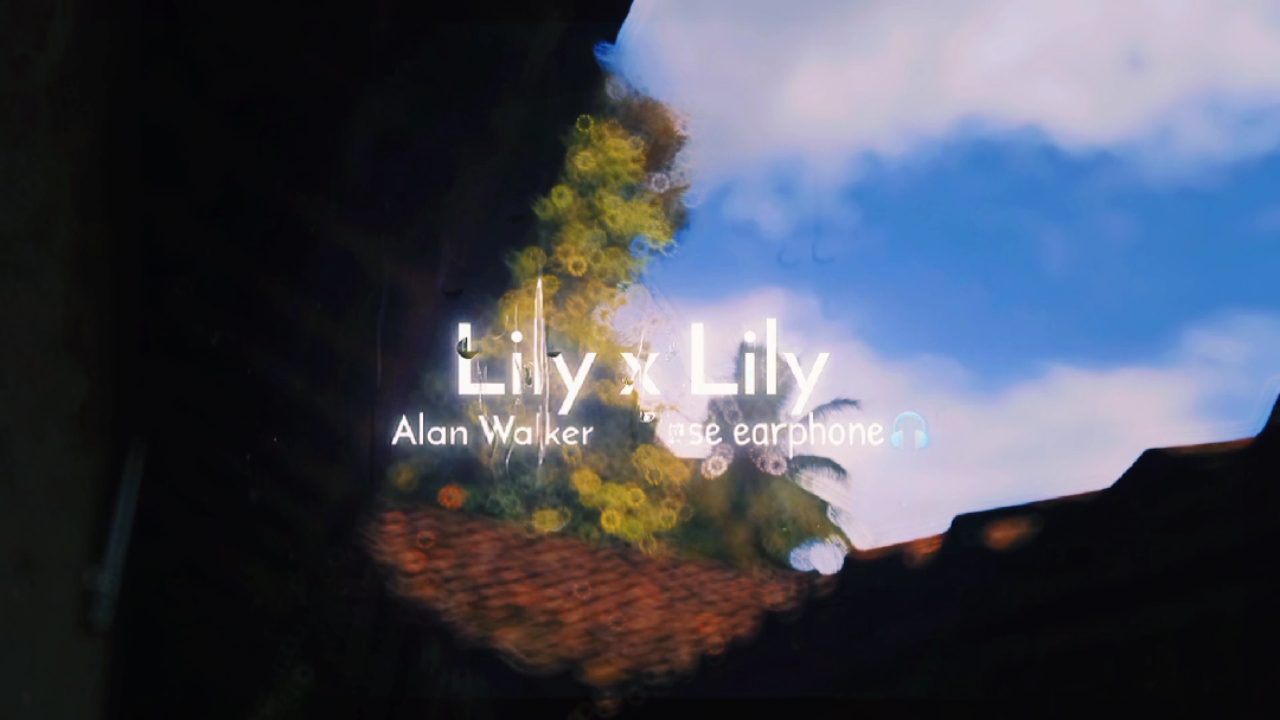 Lyly x lily viral