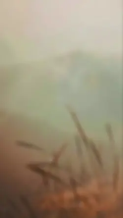 Aankhein Khuli