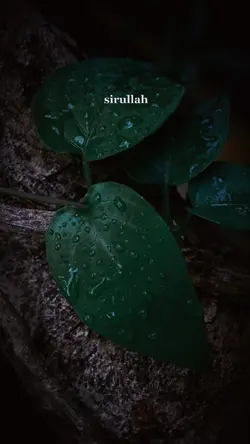 Ngaji diri | jawa