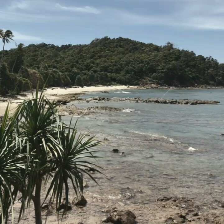 Mini vlog