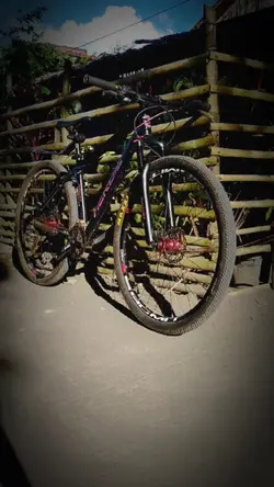 Bike Montage