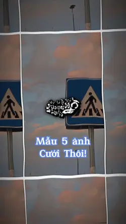 mẫu 5 ảnh beat.