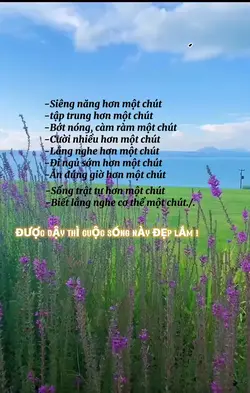 Bình tĩnh mà sống
