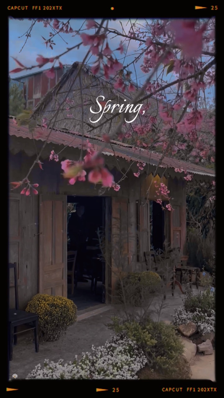 Tiempo de primavera. 1 video