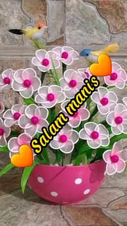 SALAM MANIS