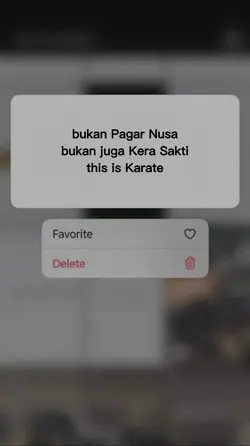 this is karate