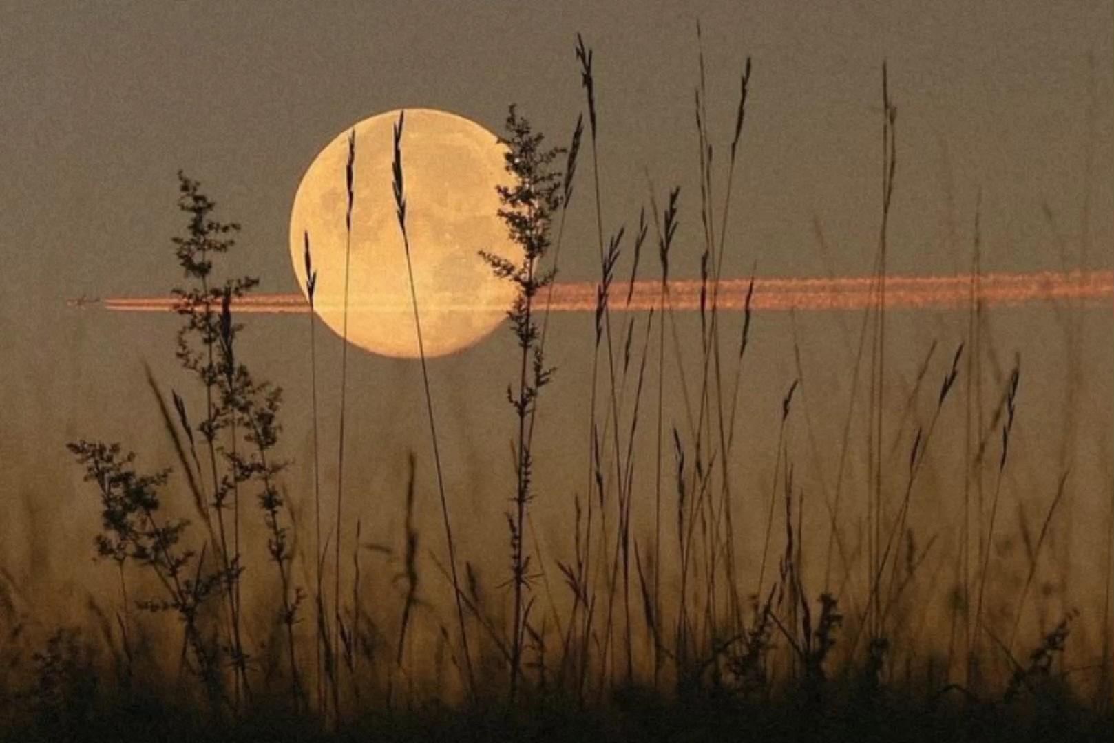 bulan