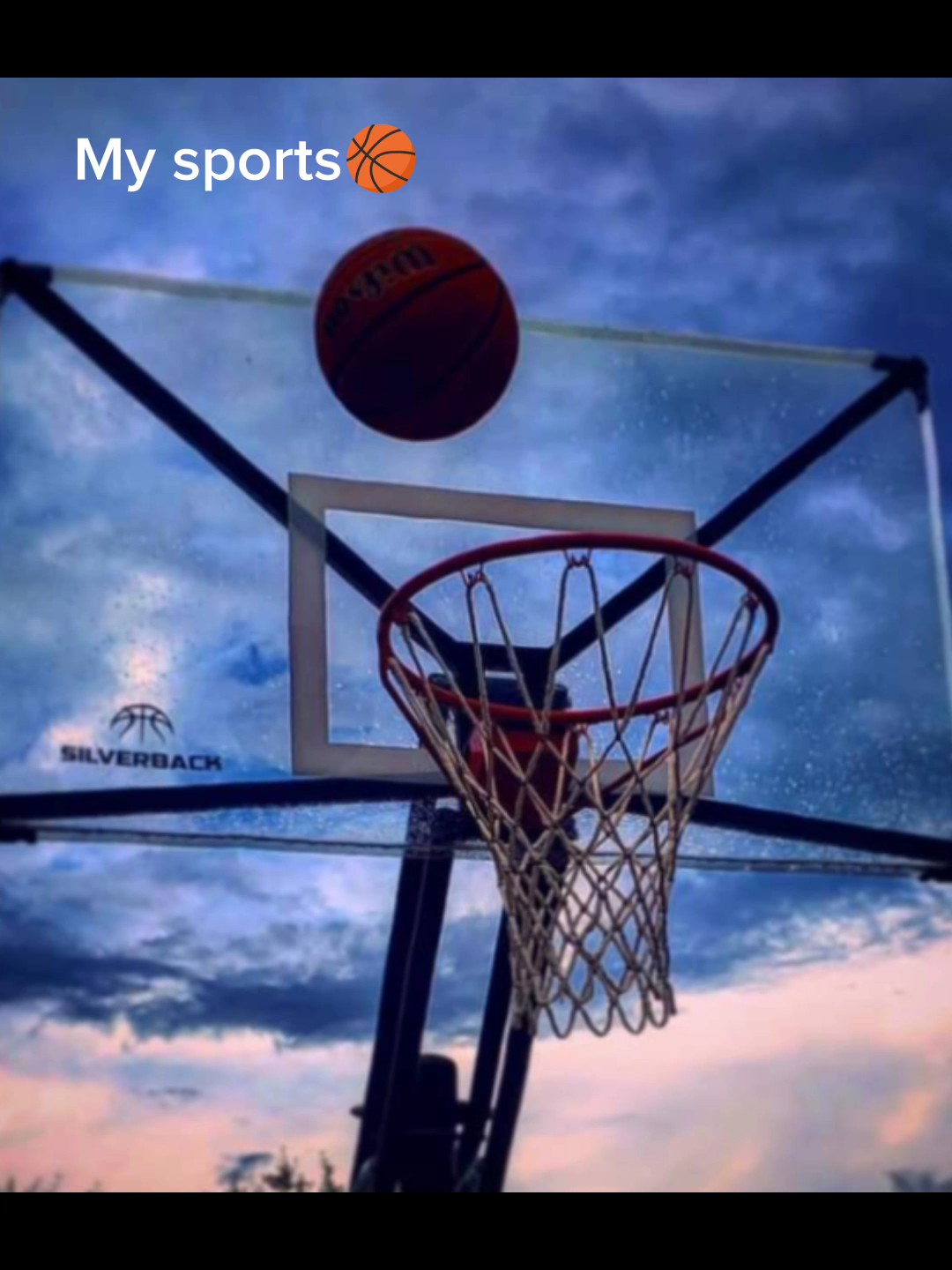 my sport and me
