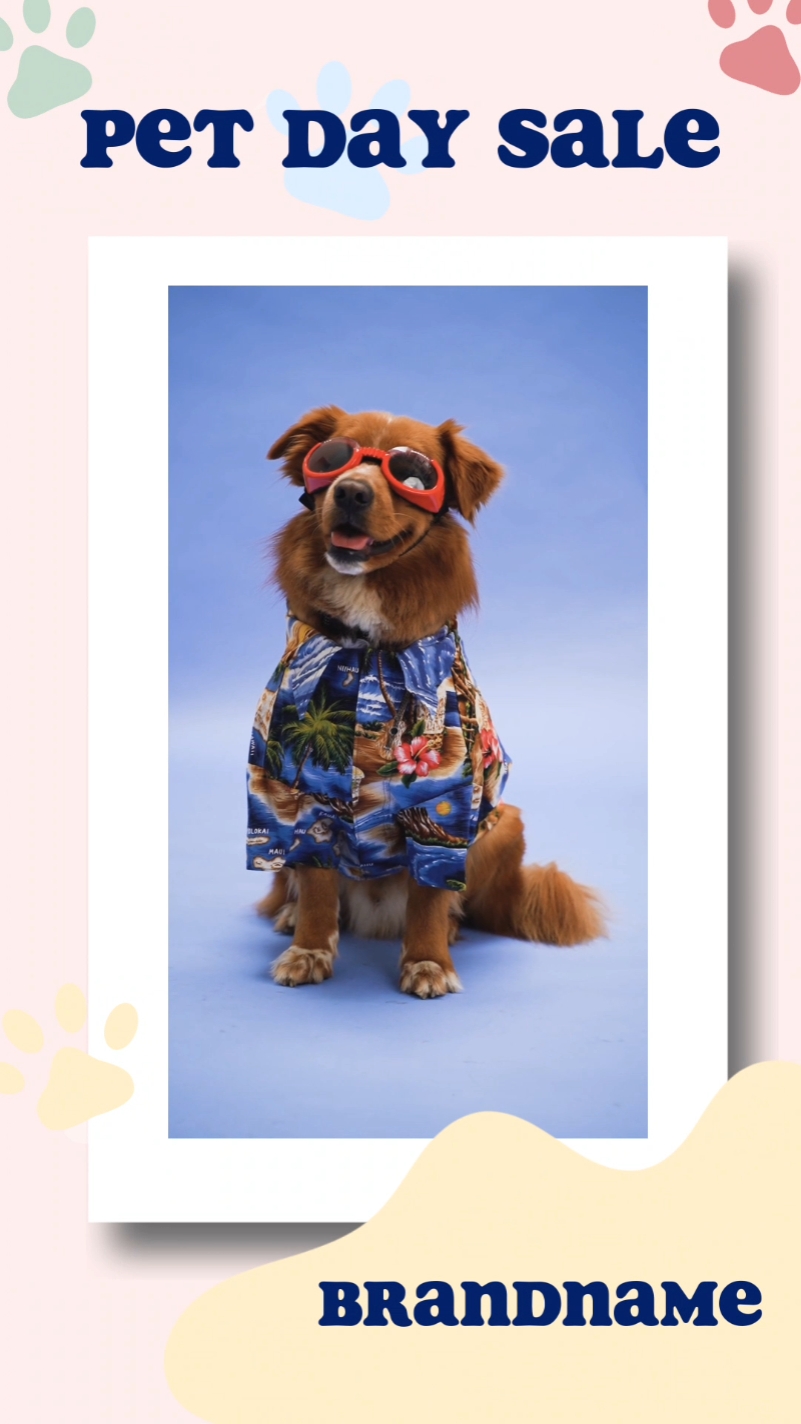 Linda mascota de estilo