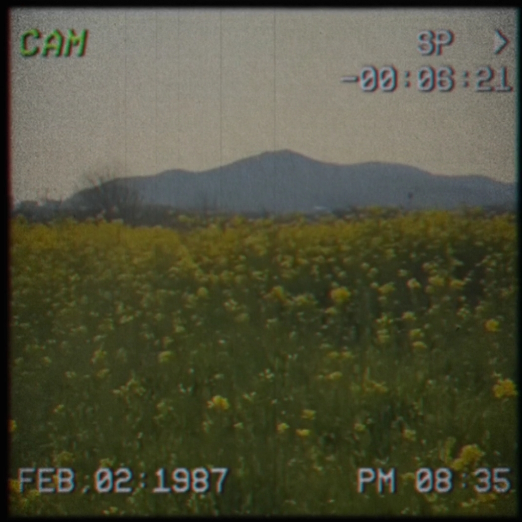 Cámara retro 