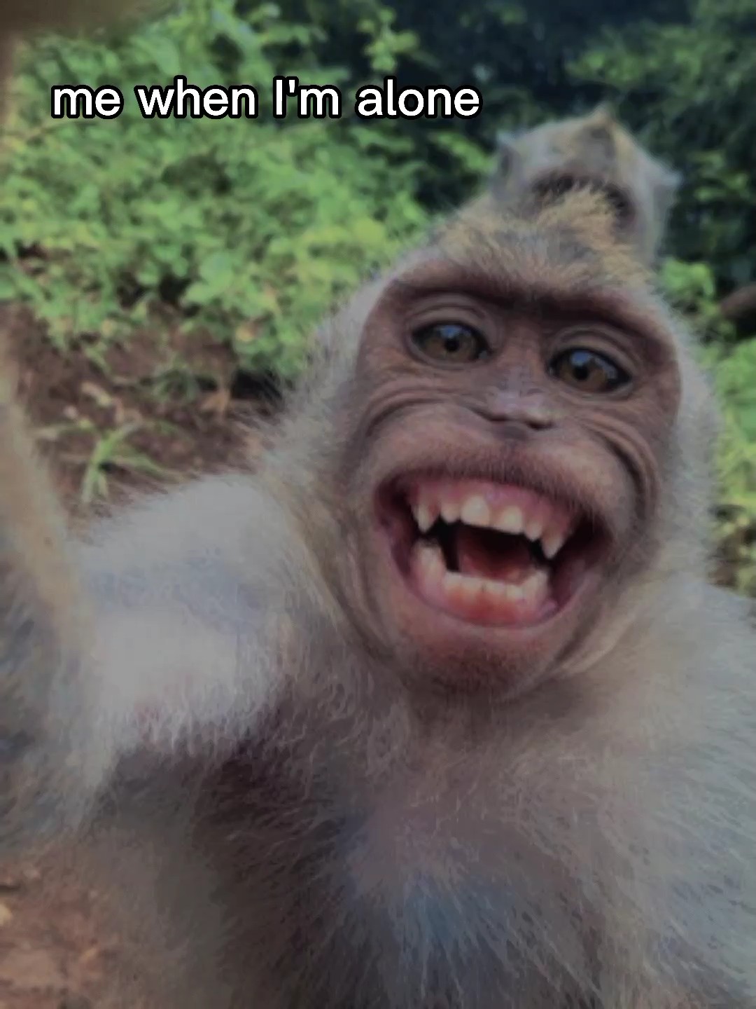 moi quand je suis seul 