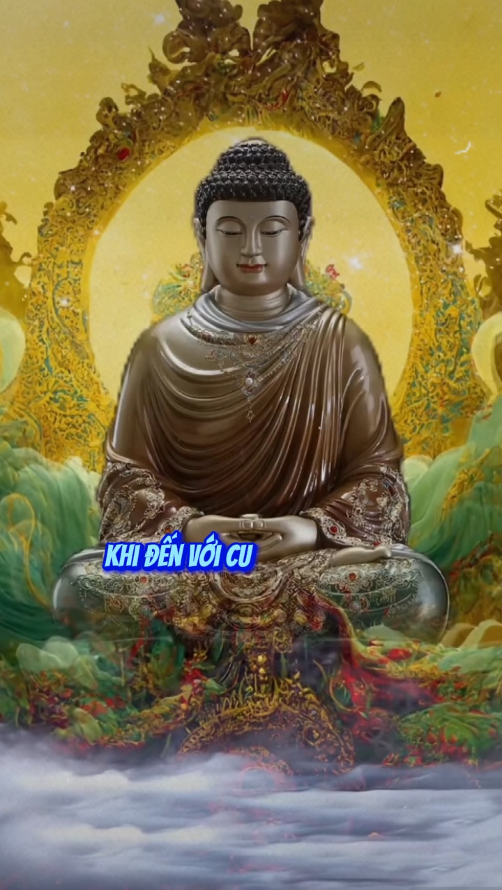 🪷🪷🪷