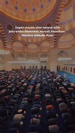 follow aja dulu