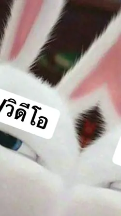 ตึกๆ