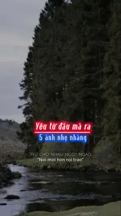 5 ảnh nhẹ nhàng