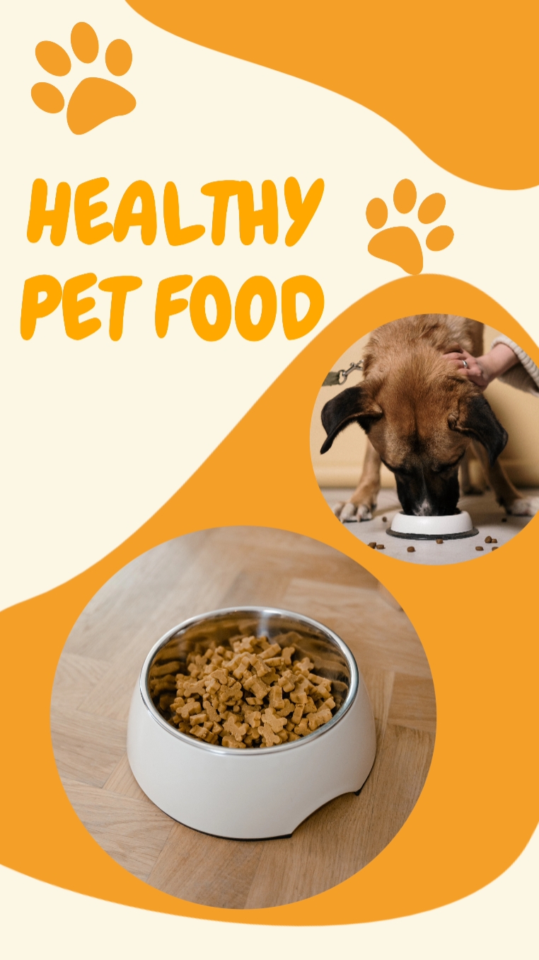 Bright Pet Food Display