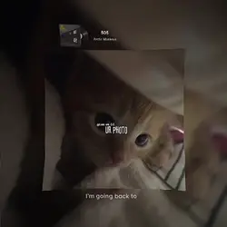 505