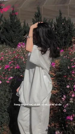 Trong rừng có nai