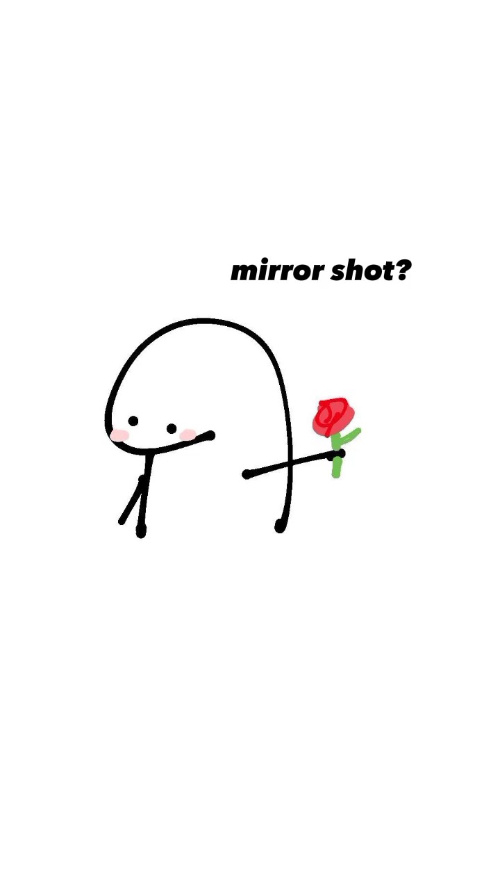MIRROR SHOT