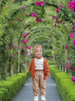 foto di taman bunga