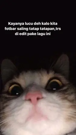 Foto tatap tatapan😭