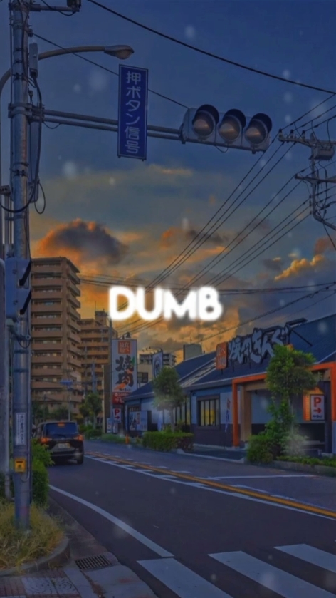 everyone is DUMB