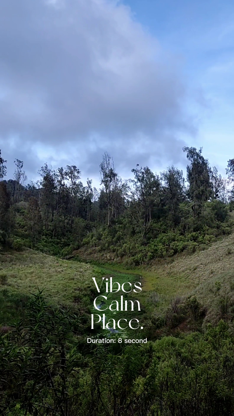 Calm Place
