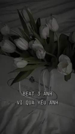 BEAT 3 ẢNH