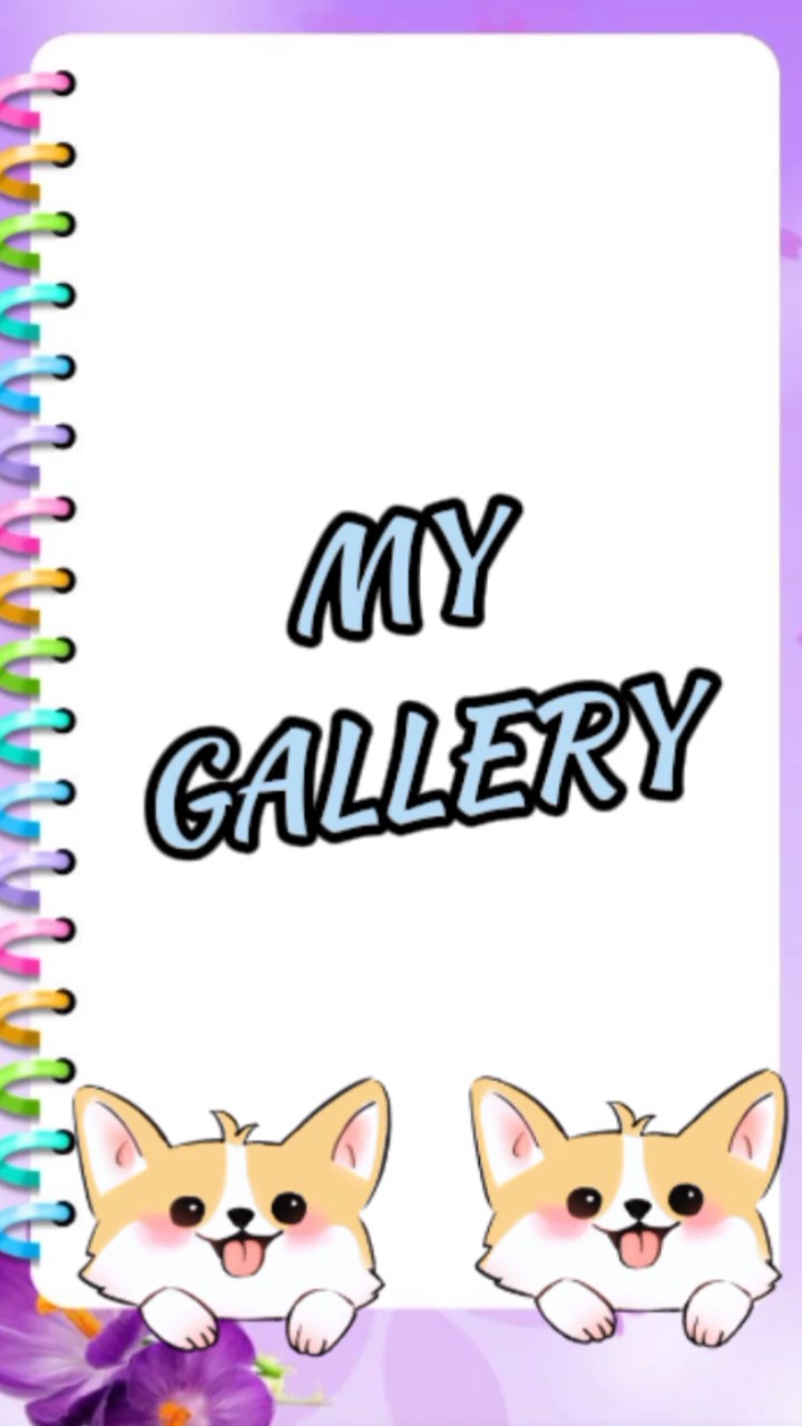 ma galerie 