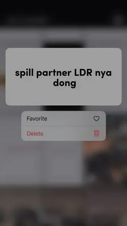 spill partner ldr 