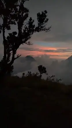 sunset lover