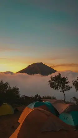 FANA MERAH JAMBU