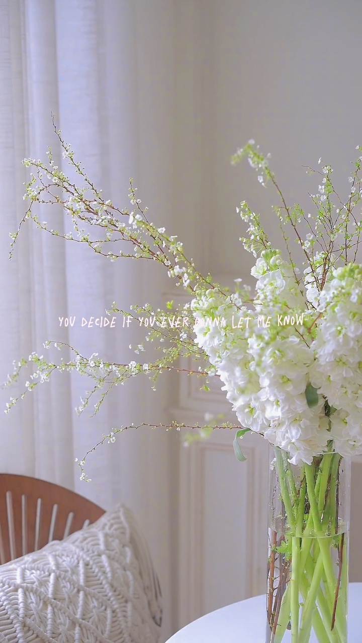 4Vid màu + lyrics