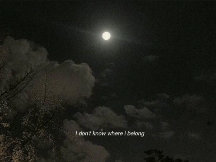 Ho hey moon trend