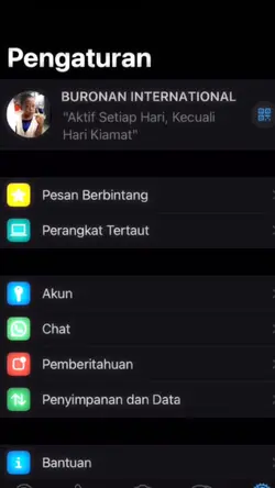 Spill WA ip
