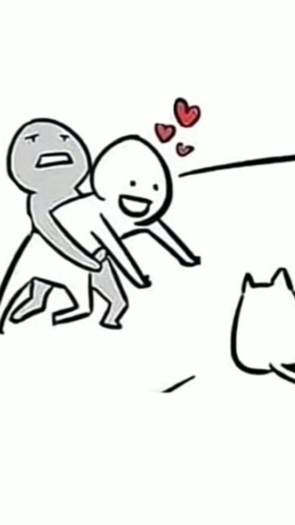고양이 애호가