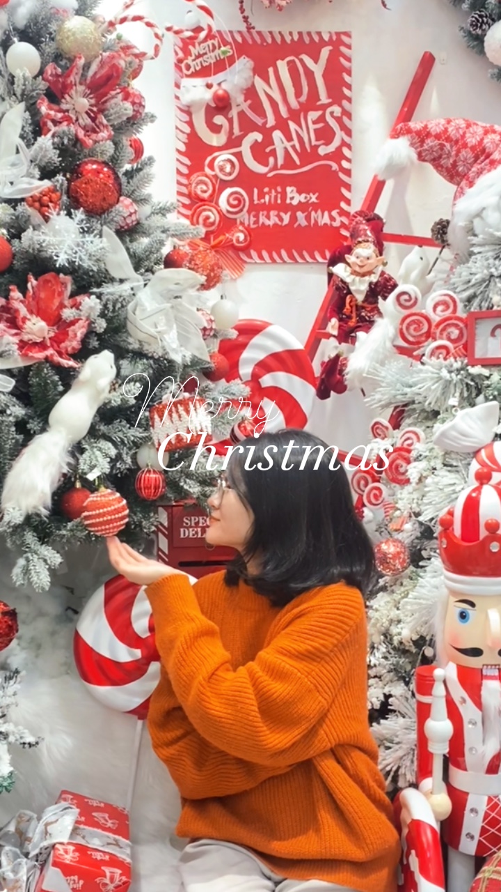 Mi vlog de Noel