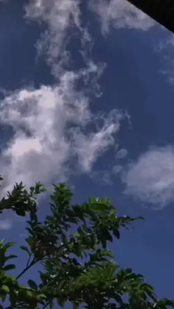 3Video 6 photo